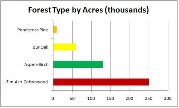 North Dakota tree graphic